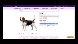 How to create and order Custom Profiles