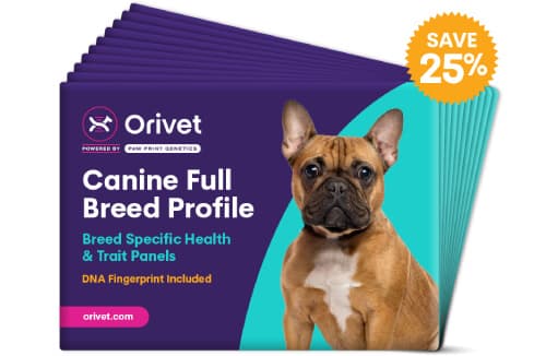 Canine Full Breed Profile MultiPack (10 pack)