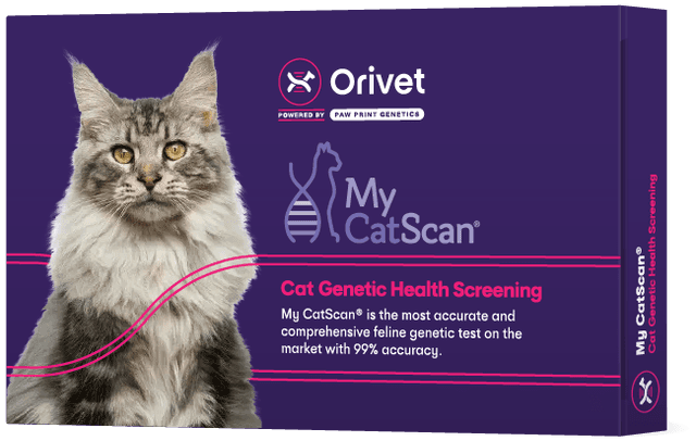 My CatScan™