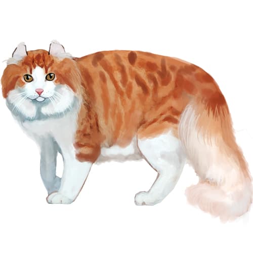 321
