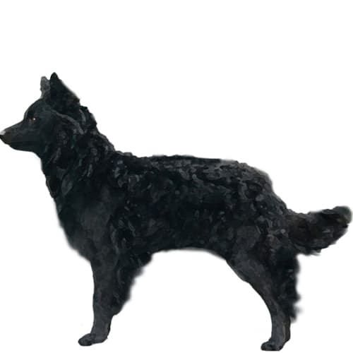 849