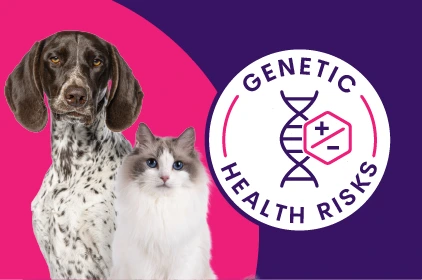 Genetic Health Risks