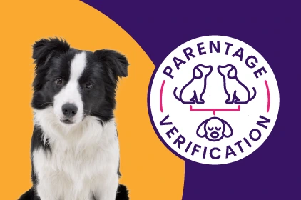 Parentage Verification
